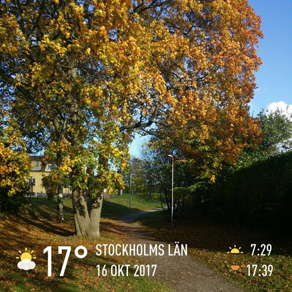 instaweather 20171016 142849 600x600