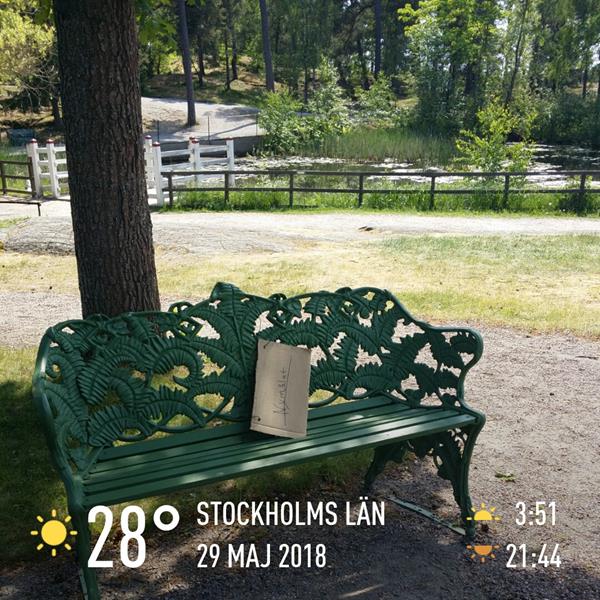 instaweather 20180529 143358 600x600