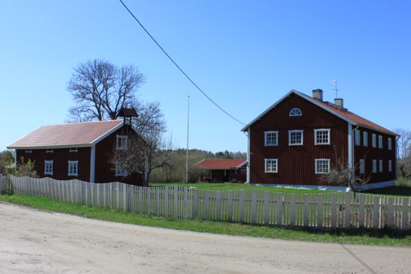 IMG 0577 600x400