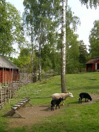 3torekallberget010605