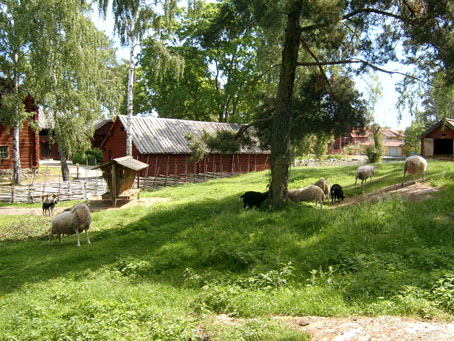 10torekallberget260605